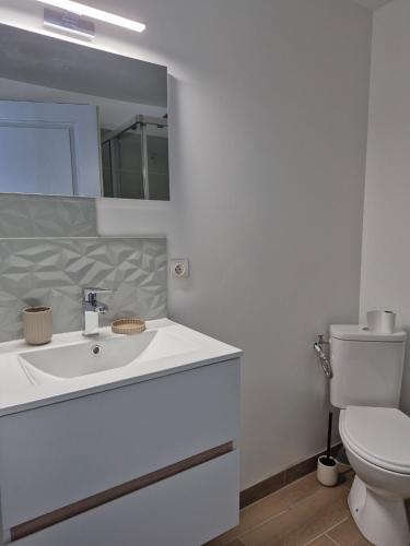 une salle de bain avec un lavabo blanc et des toilettes dans l'établissement maison au cœur des vignes, à Monbazillac