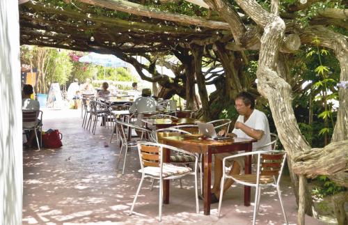 a man sitting at a table under a tree at Hostal Alocs in Es Figueral Beach