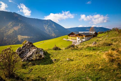 Bio-Bergbauernhof Lasserbauer
