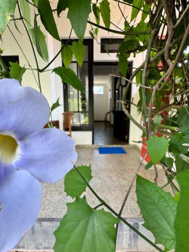 Φωτογραφία από το άλμπουμ του Royal Breeze Negombo στη Νεγκόμπο