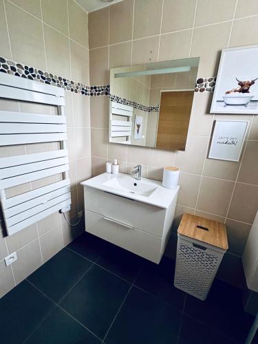 une salle de bain avec un lavabo et un miroir dans l'établissement Charmante Datcha en Normandie, à Les Damps