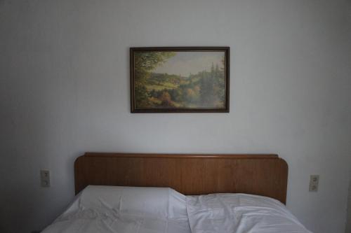 1 dormitorio con 1 cama con una pintura en la pared en apartment Anna, en Wilthen
