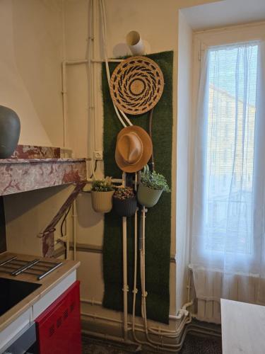 une cuisine avec des plantes en pot sur un mur dans l'établissement Escapade cathare, à Carcassonne