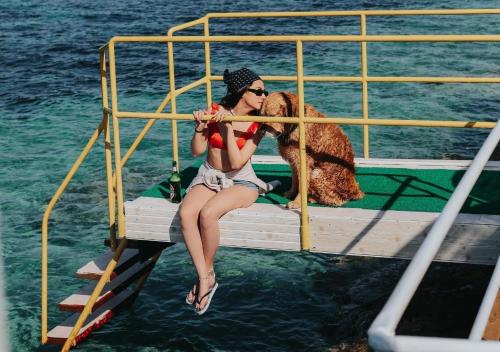 Fotografie z fotogalerie ubytování Arya Karaburun v destinaci Karaburun