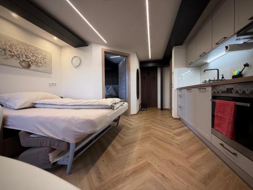 two beds in a large room with a kitchen at Attersee Apartments in Nussdorf am Attersee