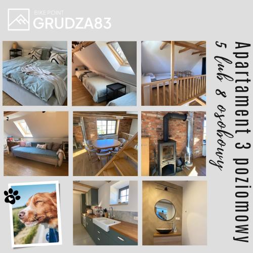 a collage of photos with a dog in a room at Grudza83 Bikepoint in Mirsk