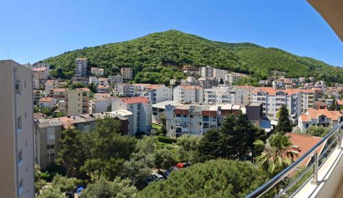 Vista general d'una muntanya o vistes d'una muntanya des de l'apartament