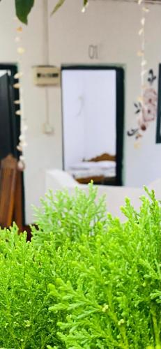 Φωτογραφία από το άλμπουμ του Golden Rich Hotel σε Arugam Bay
