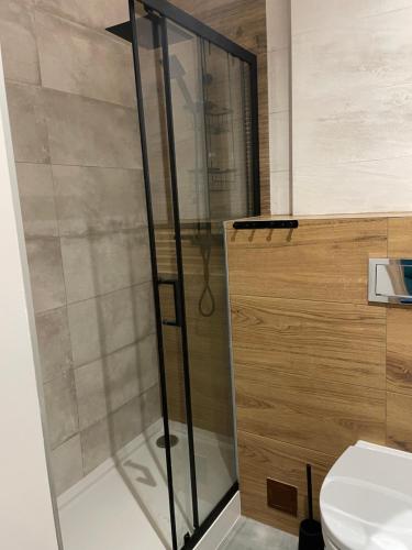 een glazen douche in een badkamer met toilet bij Przystanek Karpacz - Komuny Paryskiej 3 in Karpacz
