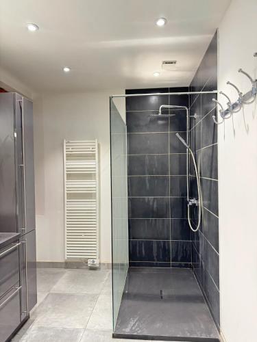 une salle de bain avec une douche avec une porte vitrée dans l'établissement Le Raffiné Troyes - hypercentre, à Troyes