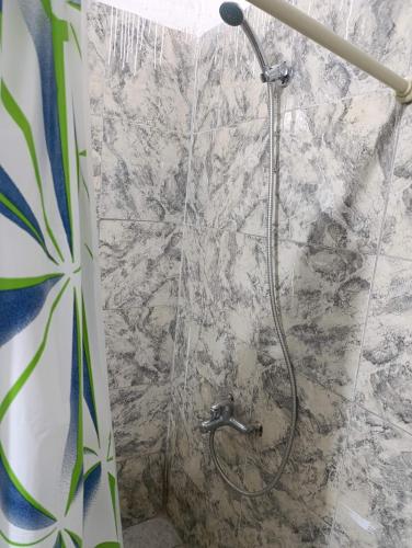 a shower with a shower head in a bathroom at El ROBLE 2 in Córdoba
