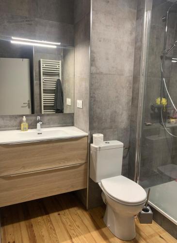 une salle de bain avec toilettes, lavabo et douche dans l'établissement Les fleurs d Aubrac, à Nasbinals