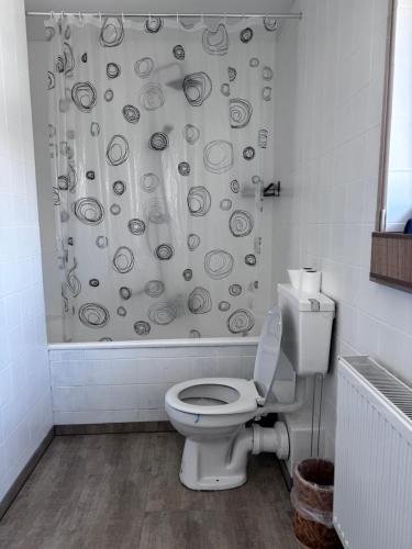 a bathroom with a toilet and a shower curtain at Ferienhaus Allgäu in Center Parc Nähe - Stadtnah - Parkplatz - Balkon in Leutkirch im Allgäu