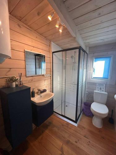 a bathroom with a toilet and a sink and a shower at Domki Letniskowe Pola in Ryn