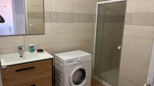 une salle de bain avec une machine à laver et un lavabo dans l'établissement forcioli conti T2 tout confort, à Ajaccio