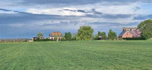 a large green field with houses in the background at Polderzicht in Ossendrecht