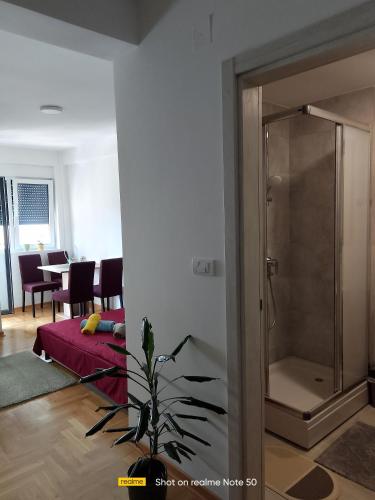 Habitación con baño con ducha acristalada. en Apartman Konak, en Vrnjačka Banja