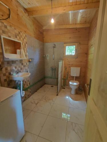 un bagno con un water e un lavandino di comjun a Ada