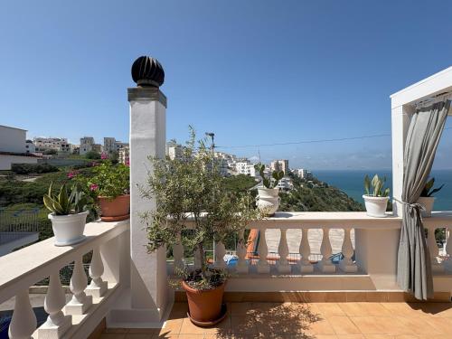 a balcony with potted plants and a view of the ocean at Sunderville Superior in Peschici