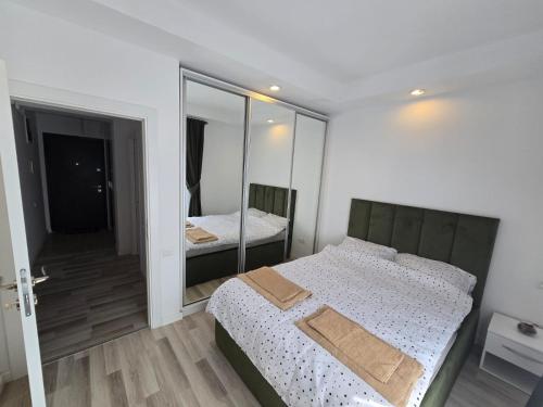 a bedroom with a bed and a mirror at Studio Ama in Văleni