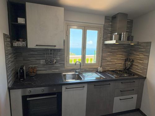 a kitchen with a sink and a window at Sunderville Superior in Peschici