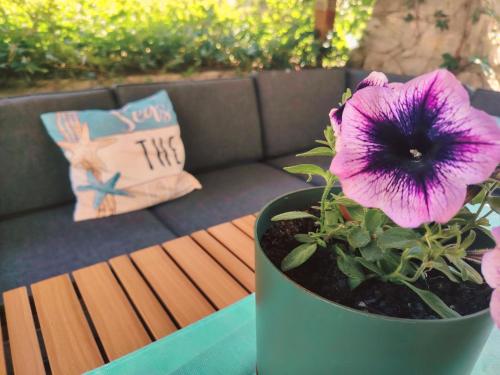 Apartman Hric -50m od plaze-