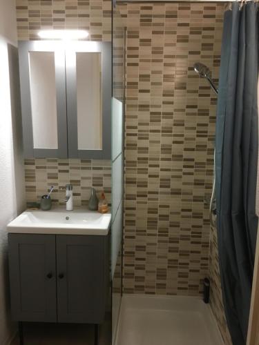 une salle de bain avec un lavabo et une douche avec un miroir dans l'établissement Venus 15, à Fleury