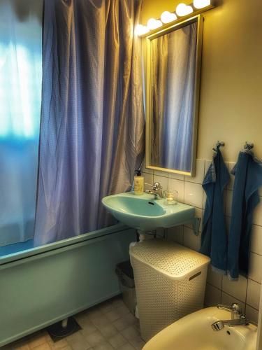 a bathroom with a sink and a mirror and a toilet at VillaVasa Original in Transtrand