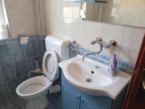a bathroom with a toilet and a sink at La Hacienda DD in Trebinje