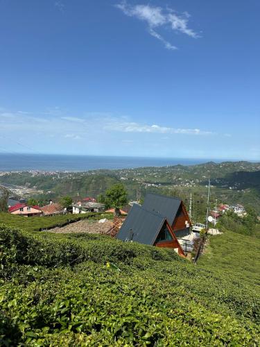 a house on top of a green hill at Yamaçdere Bungalov in Ardeşen