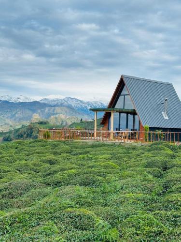 a house on a hill with mountains in the background at Yamaçdere Bungalov in Ardeşen