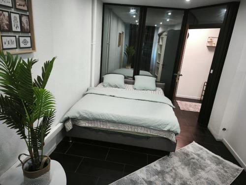 Photo de la galerie de l'établissement cigogne, à Strasbourg