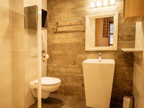 une salle de bain avec toilettes et miroir dans l'établissement Charmant 4 pièces pour 8 pers. avec terrasse, proche télécabine à Valloire - FR-1-263-212, à Valloire