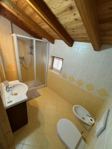 a bathroom with a toilet and a shower and a sink at Appartamenti Blumen Stube in Sant’Orsola