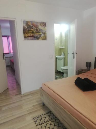 a bedroom with a bed and a bathroom at Vila Roberta Breaza ,BV in Breaza