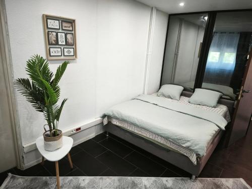 Photo de la galerie de l'établissement cigogne, à Strasbourg