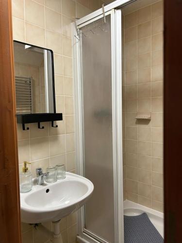 a bathroom with a sink and a shower at Penzion Bluegrass in Český Krumlov