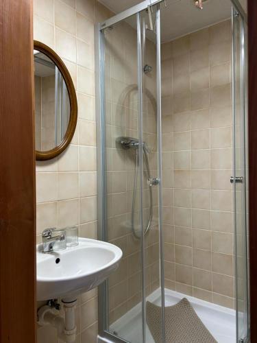 a bathroom with a sink and a shower at Penzion Bluegrass in Český Krumlov