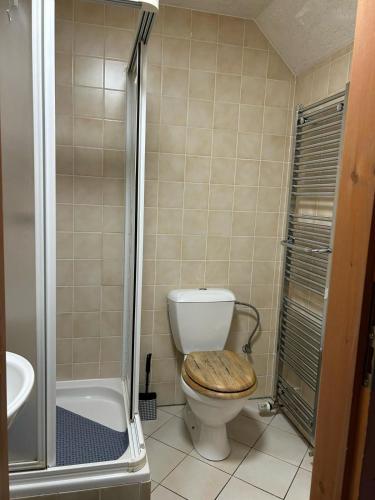 a bathroom with a toilet with a wooden seat at Penzion Bluegrass in Český Krumlov
