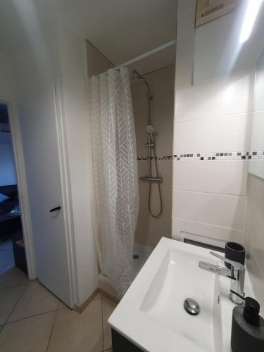 une salle de bain avec un lavabo blanc et une douche dans l'établissement Annecy cozy studio with terrace, à Annecy