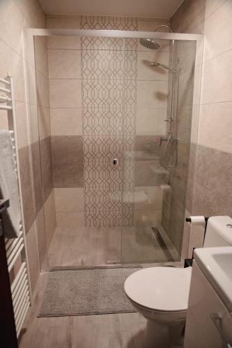 a bathroom with a shower with a toilet and a sink at Privat Agapi in Vrbov