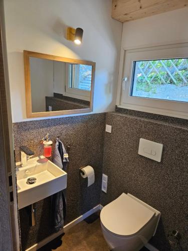 a bathroom with a toilet and a sink and a mirror at Cottage am Michelsberg in Bad Münstereifel