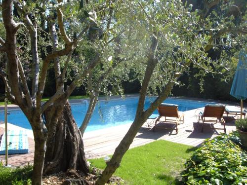 une piscine avec deux chaises et un arbre dans l'établissement Il bambù, à Valbonne