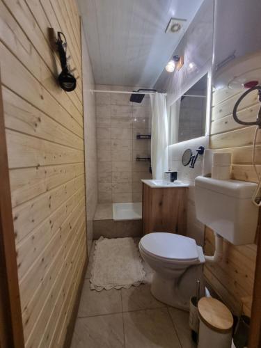 a bathroom with a toilet and a sink and a tub at Domki u Pieszczocha in Bukowiec