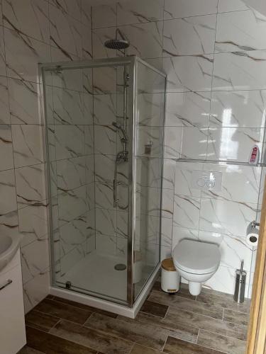 a bathroom with a shower and a toilet at Lawendowa Willa in Kaczki Średnie