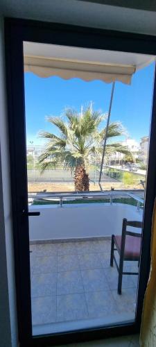 a view of a palm tree from a window at 2 Palmat Hotel in Ksamil