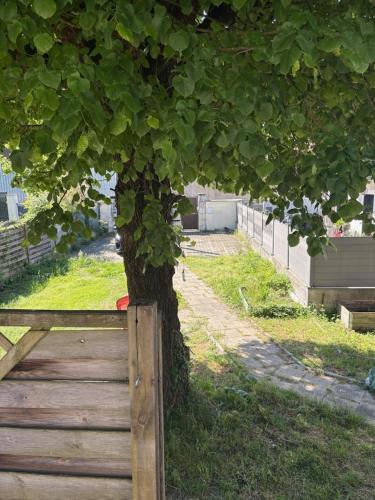 un arbre à côté d'une clôture en bois à côté d'un arbre dans l'établissement Maison bord de rivière superbe jardin, à Vizille