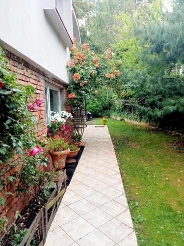 Pokoje gościnne w centrum