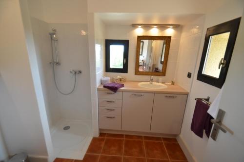 a bathroom with a sink and a shower and a mirror at Bastide Saint Maurin in Ansouis