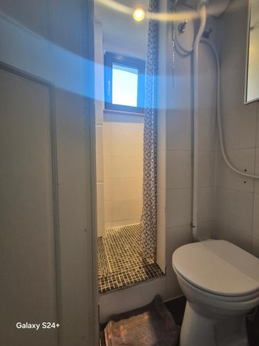 a bathroom with a toilet and a shower at Brussels 1904 in Brussels